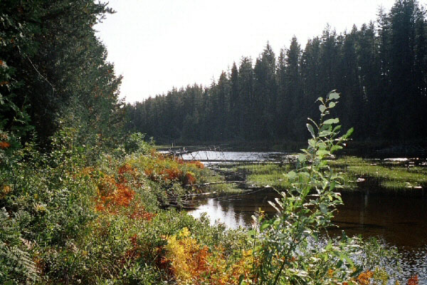 Argyle Lake Lodge - Boats and Motors